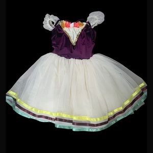 Women’s large ballerina tutu dress costume
